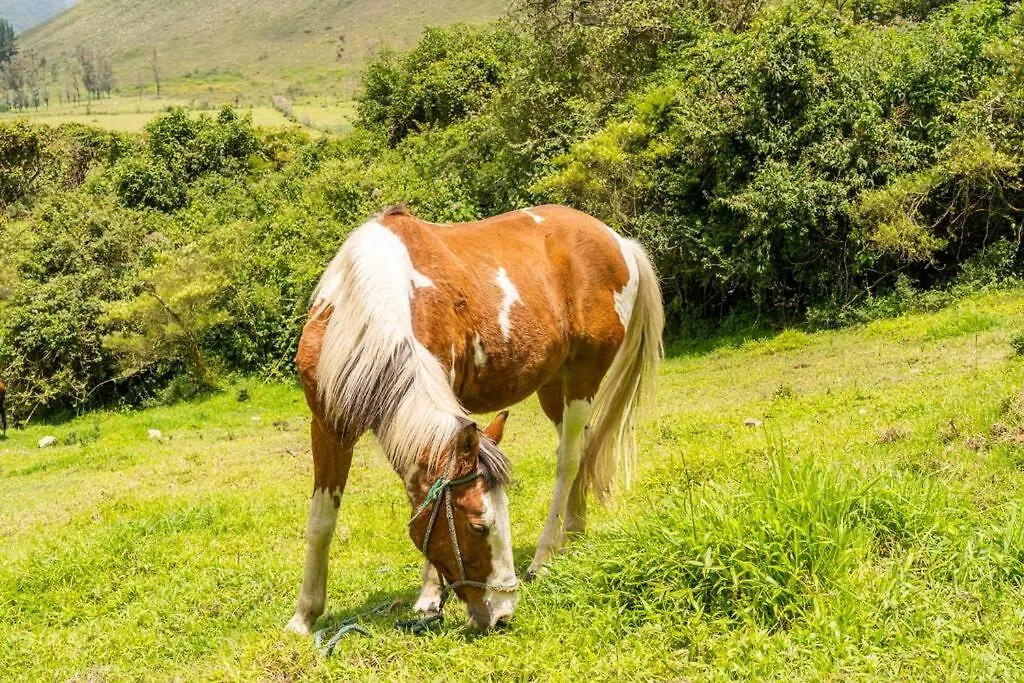 Willa Casa Fengari Quito
